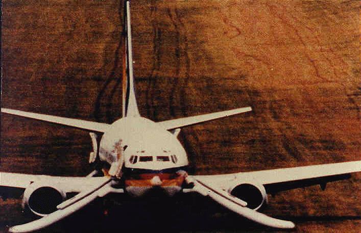 1988. 08. 24. New Orleans TACA 110-es járata B737-3T0 45 túlélő A repülő leszálláshoz készülődve jégesőbe került.