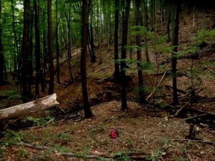 riolittufából pörköléssel ki tudták nyerni csekély aranytartalmát erről tanúskodnak