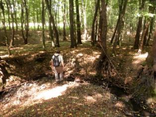 a Jó-hegy tetején) holdbéli tájra emlékeztet, a Király-hegy nem szenvedett kárt, mivel már