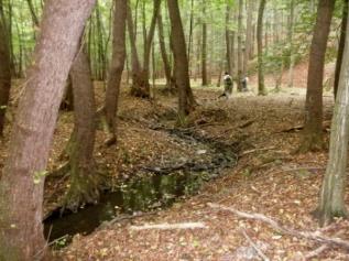 Ma a 182,09 ha nagyságú Király-hegy 2003 óta védett magterület és 2004 óta a Natura 2000-be