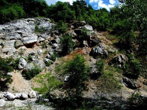 agyag és a fődolomit ásványaival úgy látszik senki sem törődött, mivel