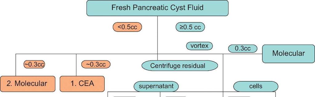 Cysticus pancreas