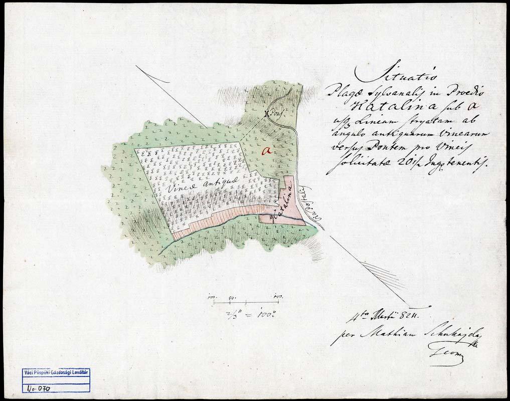 84 74. VPGL. 70. 1. Schuhajda, Mathias [geom.] 1824 2. Situatio Plage Sylvanalis in Paedio Katalina. 3. Katalin puszta (Nógrád m.