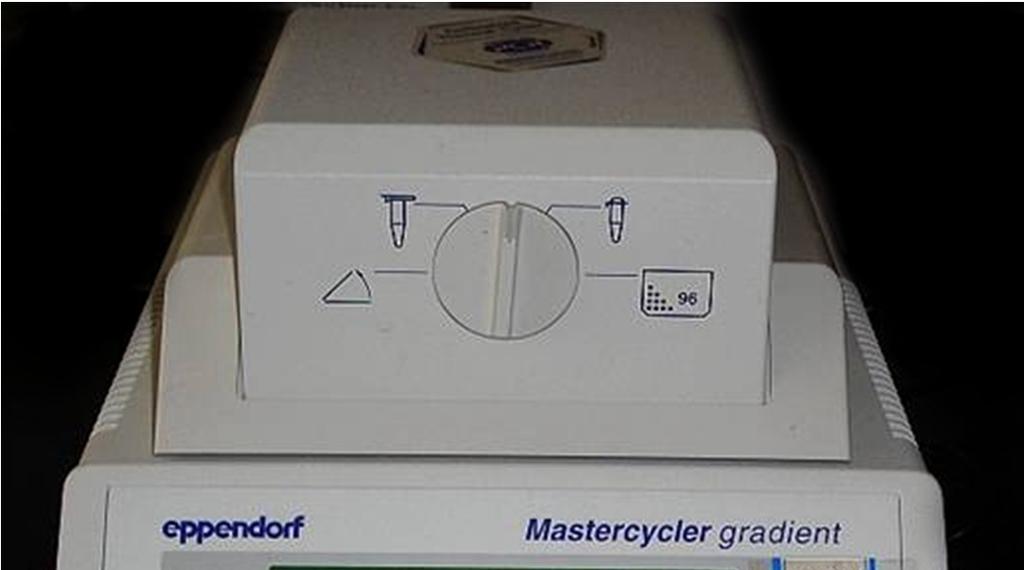 PCR