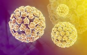 gégepapillomatózis) Fontos: HPV légúti, garati fertőzés 1.