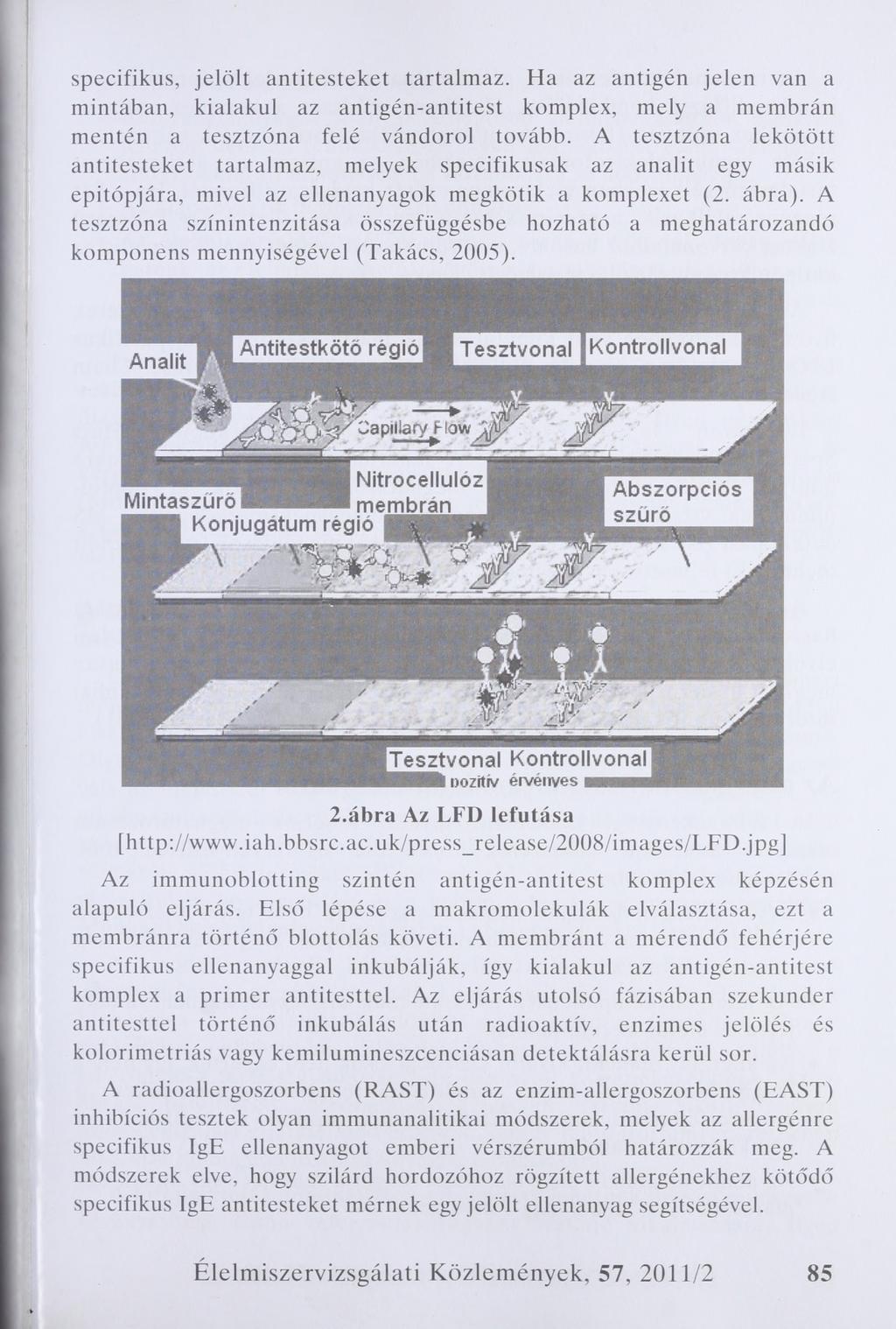 specifikus, jelölt antitesteket tartalmaz. Ha az antigén jelen van a mintában, kialakul az antigén-antitest komplex, mely a membrán mentén a tesztzóna felé vándorol tovább.