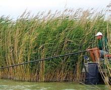 Sekély és mélyvizű strandok közül válogathatnak a gyermekek és a vízi sportokat kedvelők. Jó fogás!