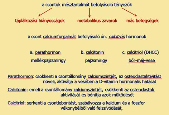 csontozati elváltozásokat elsősorban a D-vitamin és a C-vitamin hiányában kialakuló kórképek mutatják.