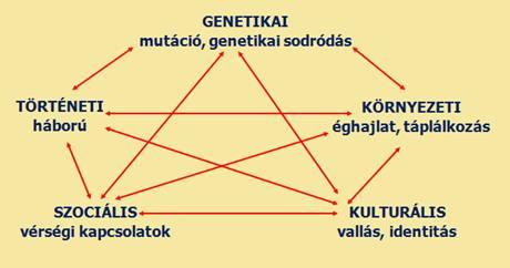 - postmortalis elváltozások; - a mikrokönyezet fizikokémiai hatásai.