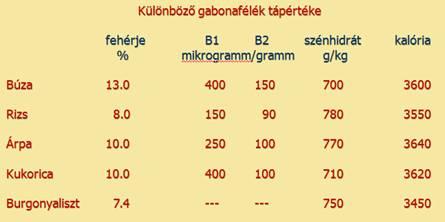 Az csontelváltozások paleopatológiai csoportosítása Az ásatag csontokon megjelenő elváltozások csoportosítása a kijelölt szempontok alapján többféle is lehet.