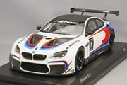 1 BMW Motorsport Ice Watch