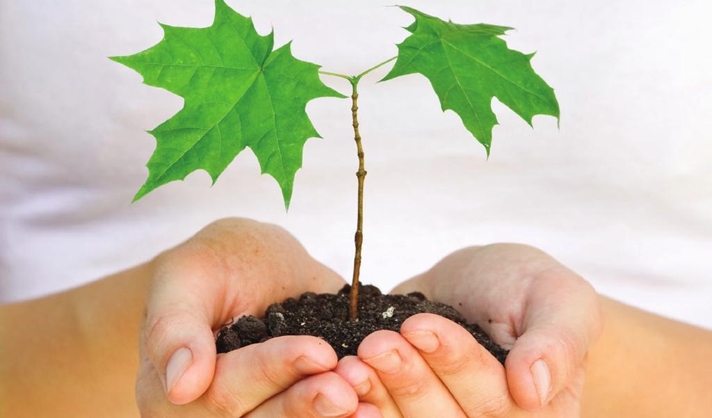 Transzplantációs A lap a Magyar Transzplantációs Társaság hivatalos kiadványa A kiadvány megjelenését támogatta: A szerkesztőbizottság elnöke: Dr. Fehérvári Imre Szerkesztőbizottság: Dr.