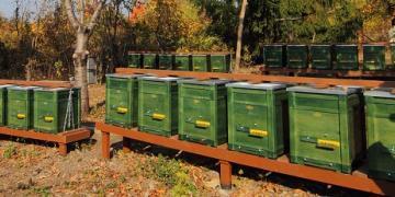 EGYÉB LÉTESÍTMÉNYEK Méhészet, műlépkészítő üzem, méhanyanevelőtelep méhegészségügyi felelősök éves monitoring (jún.