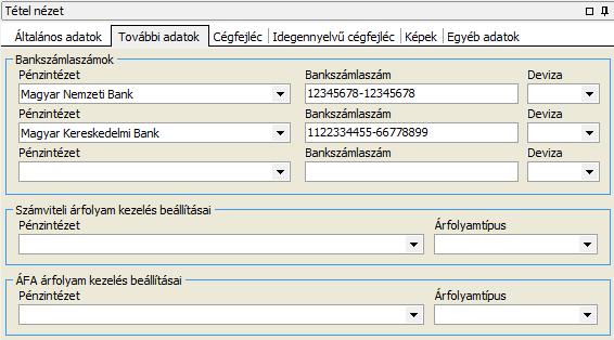 További adatok A cégre vonatkozó pénzügyi adatok a További adatok fülön rögzíthetők.