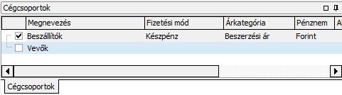 Bármilyen megjegyzés rögzíthető az egyes cégekhez ezen a felületen. Kintlévőségek Nem szerkeszthető felület.