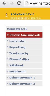 INFORMATIKAI FELÜLET KITÖLTÉSE A pályázati felület használata A pályázatot az útmutatóban megadott informatikai felületen kell feltölteni.