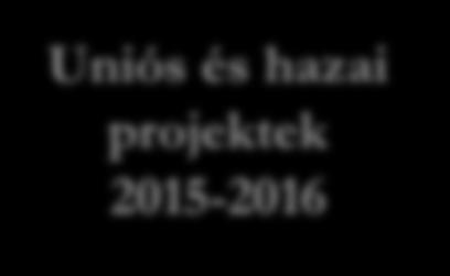 Uniós és hazai projektek 2015-2016 A támogatott KFI projektek megoszlása ágazati prioritás szerint Mintacím Intelligens szakosodásban szerkesztése érintett KFI pályázati konstrukciók alapján