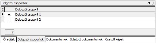 Felvételi segédlet Típus Óradíj Az óradíj típusa. Kiválasztani nem kell, a táblázatban az összes óradíj típus látható.