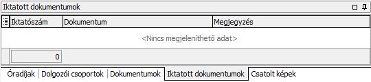 Felviteli segédlet Időpont A dokumentum csatolásának időpontja automatikusan töltődik, de lehet változtatni. Dokumentum neve A dokumentumnak név adható.