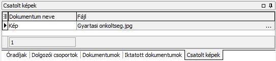 F7: Új tétel hozzáadása F8: Tétel törlése Ctrl+F12: Több dokumentum csatolása Ctrl+O: Dokumentum megnyitása Ctrl+S: Dokumentum mentése Iktatott dokumentumok A dolgozókhoz iktatott dokumentumokat is