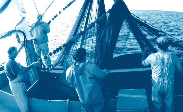 4 1. Halászati munka EU áttekintés Hogy változnak az idők: 2002/2003-ban a halászati ágazaton belül a teljes foglalkoztatás elérte a 421.000 főt.