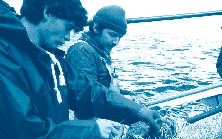 8 Atlanti terület Az Atlanti térség halászati ágazatában közel 179.000 főt foglalkoztatnak, amelyből 82.900 fő a halászat, 55.800 fő a halfeldolgozás és 40.100 fő az akvakultúra területén dolgozik.