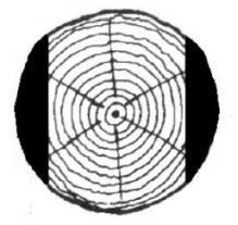 - 89 - Térgeometria - megoldások 6) A Hód Kft. Faárutelephelyén rönkfából (henger alakú fatörzsekből) a következő módon készítenek gerendát.