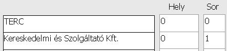 TERC VIP Oktatási segédlet 1.5.1.2.2 Az egyes elemek tartalma A tervezéskor megadható, hogy egy elem milyen néven legyen azonosítva.