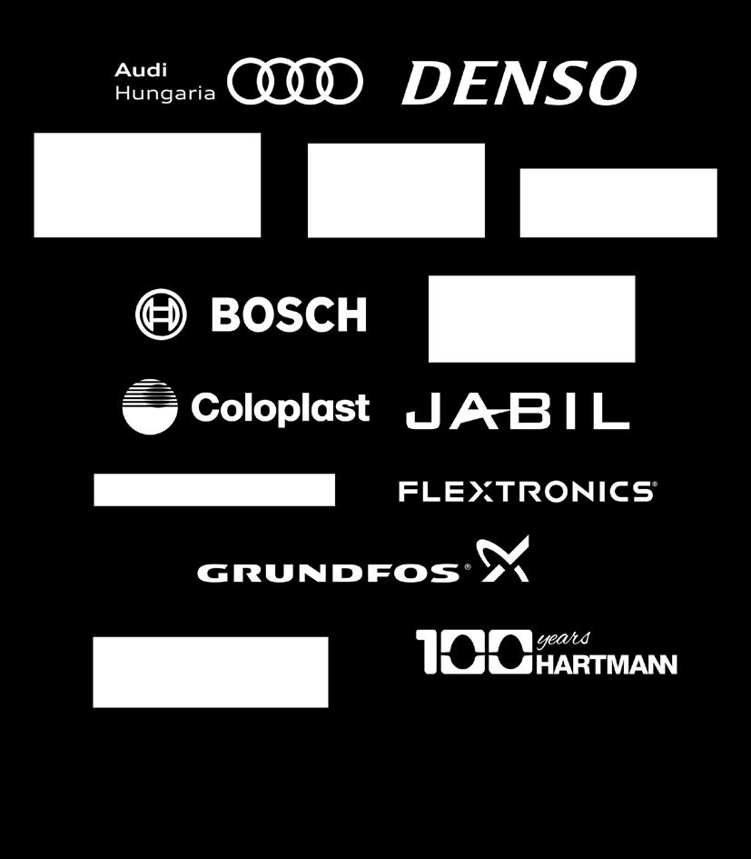 Flextronics International Kft. Flextronics Romania s.r.l. Legrand Zrt. Grundfos Magyarország Gyártó Kft. Coloplast Hungary Kft. Electrolux Lehel Kft. Nokia Komárom Kft.