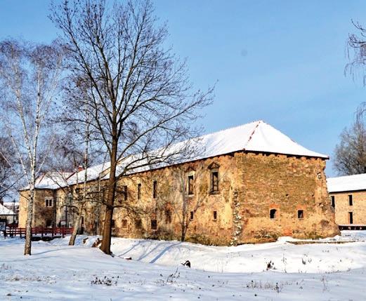 10.00 10.20 Helyzetjelentés A nagyszalontai Arany János Emlékmúzeum megújulása Tóth Zsuzsanna restaurátor, Országos Széchényi Könyvtár 10.20 10.