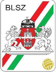 2017/18. és 2018/19. évi Bozsik TAO csapatkvóták összehasonlítása (korosztályonként 1 csapat) 2017/18. 2018/19. Változás U7 500.000 900.000 + 80 % U9 500.000 900.000 + 80 % U11 500.000 800.