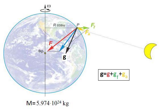 A Föld gravitációs erőtere A gravitációs erőtér összetevői a Föld felszínén - a Föld vonzása -