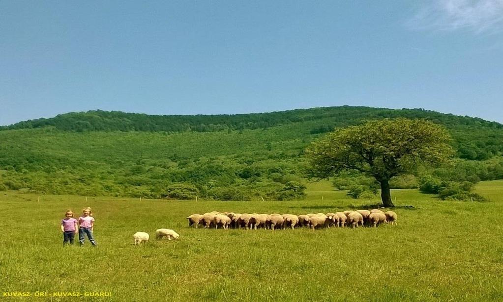 KÖRNYEZETVÉDELMI, AGRÁR ÉS VADGAZDA