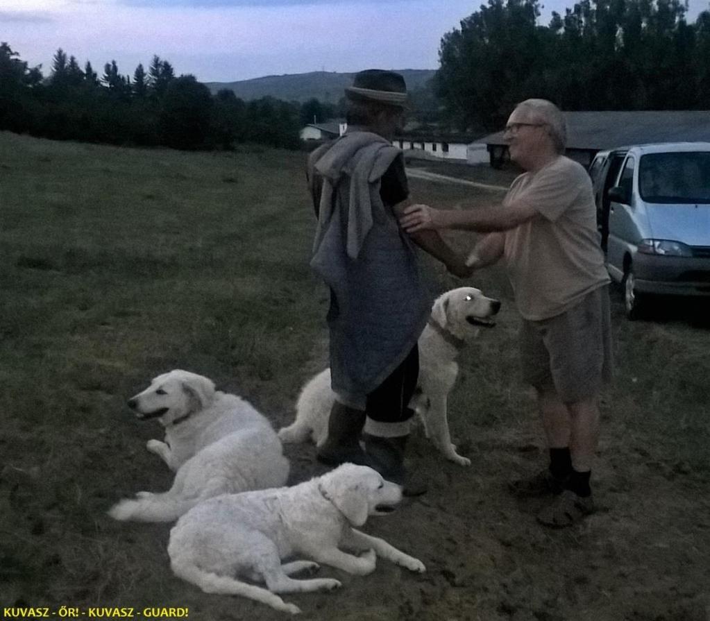 KUVASZ GUARD PREDATOR