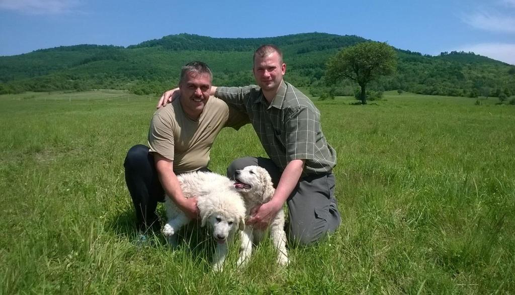 KUVASZ ŐR NAGYRAGADOZÓ VÉDELMI PROGRAM