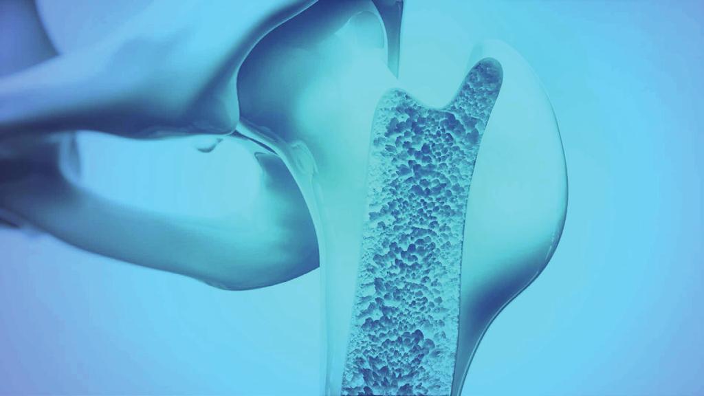 Számos tudományos kutatás mutatta ki, hogy az Aquamin hogyan javíthatja az életminőséget az alábbi területeken: A csontok egészsége - Segít megőrizni a csontszerkezet szilárdságát magas zsírtartalmú