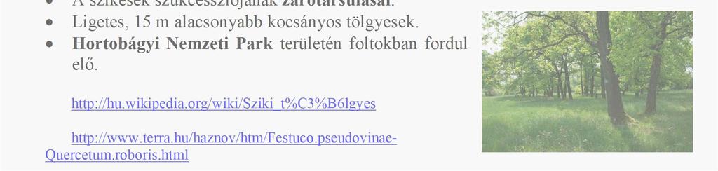 html C) Domborzat (és alapkőzet) által befolyásolt társulások: 1.