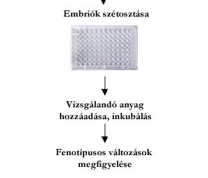 Farmakológia, kémiai genetika, toxikológia,