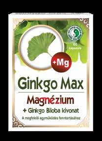 A Ginkgo levél kivonat támogatja a memóriát és a kognitív funkciók megőrzését, a magnézium hozzájárul a
