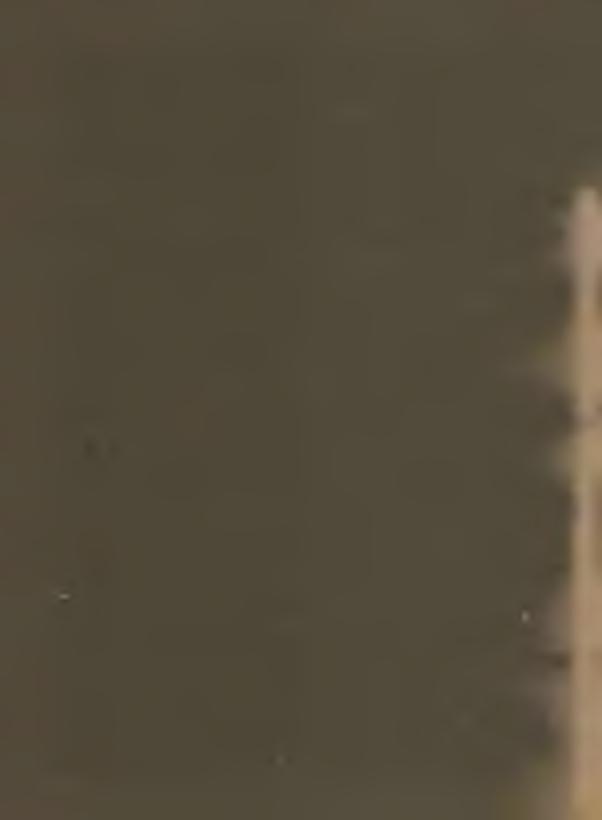 X V III. 98 99 A magyar Duna halászata 1971-ben. X V III. 120 121 Üj utakon a Dráva halászata. X V III. 5B2 Van hal a tóban. X V III. 134 Katasztrofális halpusztulás a Dunán. X V III. 6B2 TSZ-ek tógazdaságai Halászat Baranya megye tógazdaságaiban.