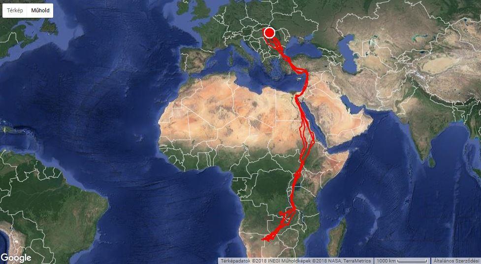 7. ábra: A jeladós békászó sas (Clanga pomarina) Bükki vonulási útvonalai 2017-ig A madár vonulását a satellitetracking.eu honlapon lehet figyelemmel kísérni.
