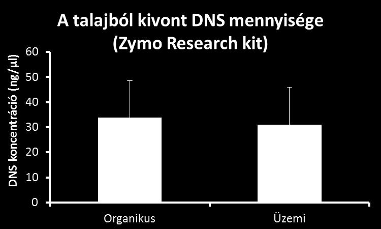 Előzetes eredmények -