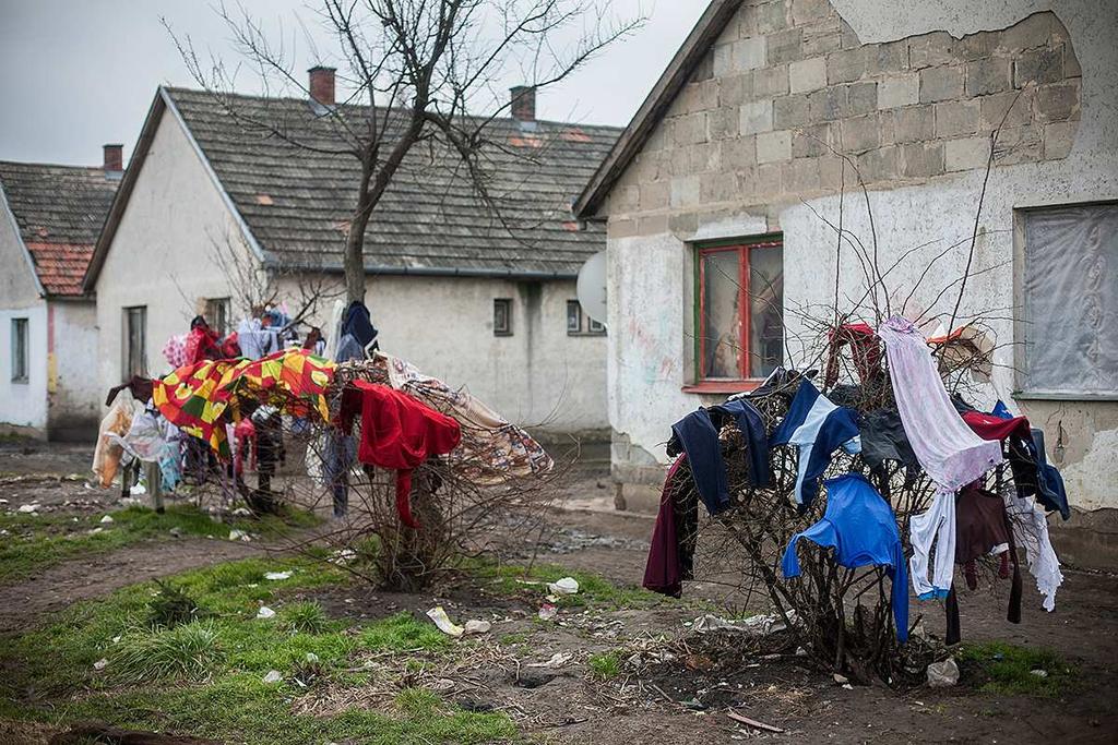 megoszlása megyeszékhely (Pécs)