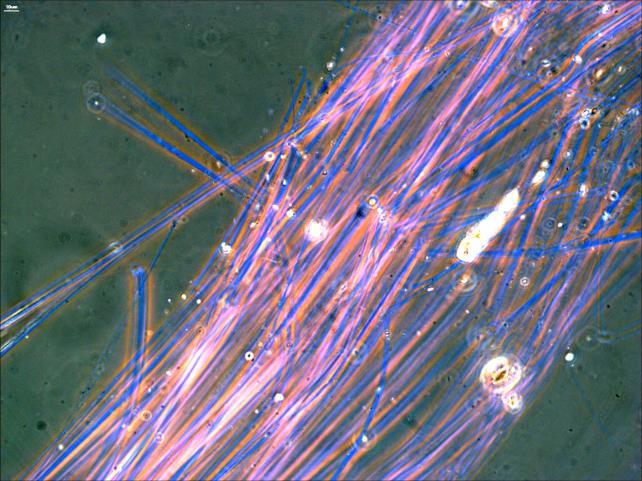 2536 Nyergesújfalu Babits M. u. 2. 06-33-504-080 Környezetvédelmi Szolgáltató és 06-33-504-081 Kereskedelmi Korlátolt Felelősségű Társaság E-mail:kor-ker@kor-ker.hu http://www.