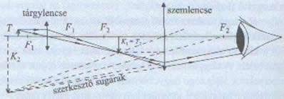 2. Fénymikroszkóp : összetett lencserendszer A nagyítás tovább növelhető, ha több lencsét használunk, például a mikroszkópban.
