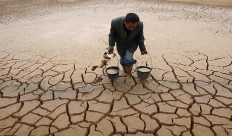 A klímaváltozás következményeként a gazdasági előrejelzések pontossága, a tervezhetőség és a termésbiztonság csökken A 2010.