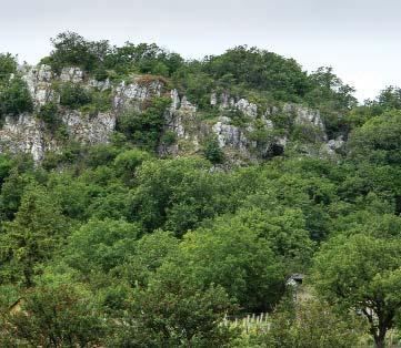Aktuális BARLANGLESŐ Honlapunk új felülete arra buzdít, hogy túráid során felkeresd azt a sok szép, kisebb-nagyobb barlangot, amelyeket magad is veszélytelenül felfedezhetsz. A www.dunaipoly.