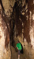 CSÁKVÁRI-BARLANG Az itt egybegyűjtött barlangok nagy része szabadon látogatható, vagyis bejárásukhoz nincs szükség speciális képzettségre, felkeresésükhöz nem kell engedélyeket beszerezni.