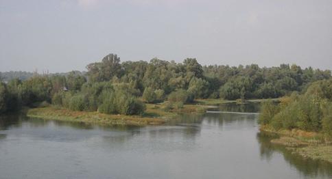 ártéri részeken folyóvízi iszap NÖVÉNYZET -A terület a zárt tölgyesek övezetbe tartozik - A természetes növényzetének többségét