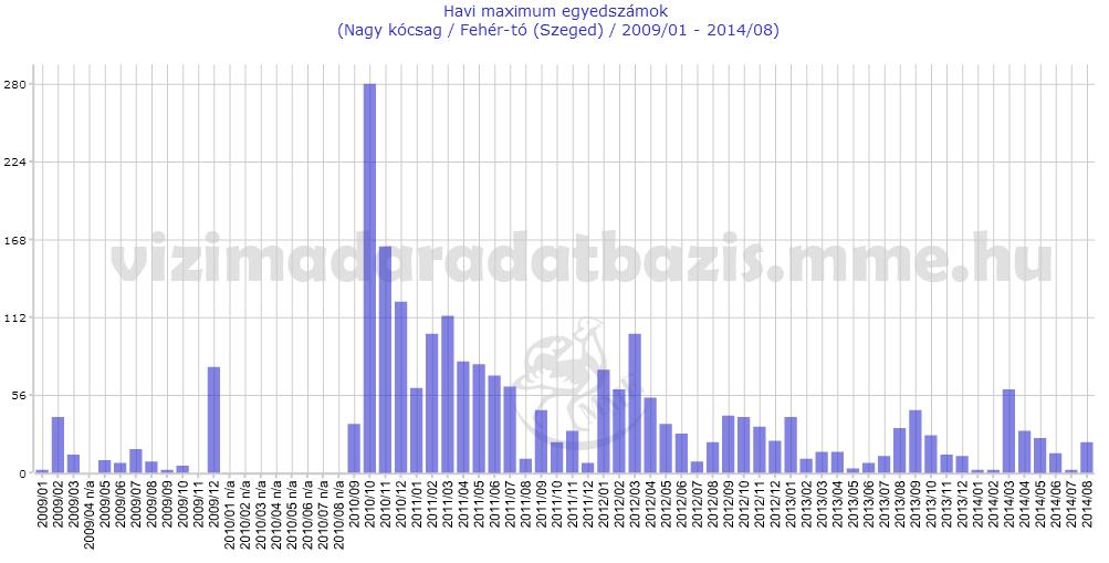 rajzolásra először külső JavaScript könyvtár használata, majd a Google Drawing Library használata, Grafikon rajzolásra az Open Flash Chart bevezetése.